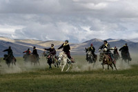 Horse Race, Rupshu Valley