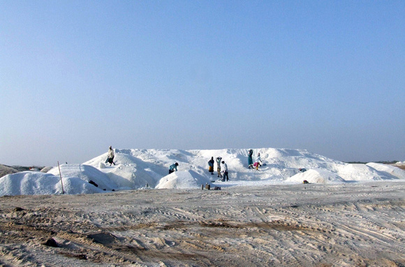 A group of workers at a salt centre