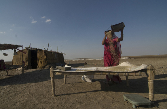 An Agariya woman sorting the grains beside her hut.