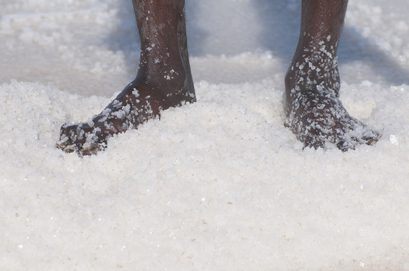 The salt farmers have to work barefoot