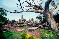 9. The Dutch cemetery of Chinsurah